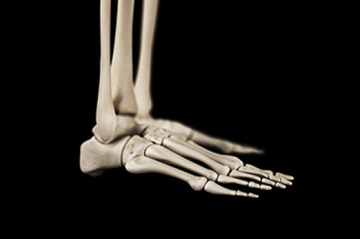 Biomechanics in Podiatry